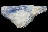 Vibrant Blue Kyanite Crystal - Brazil #80391-1
